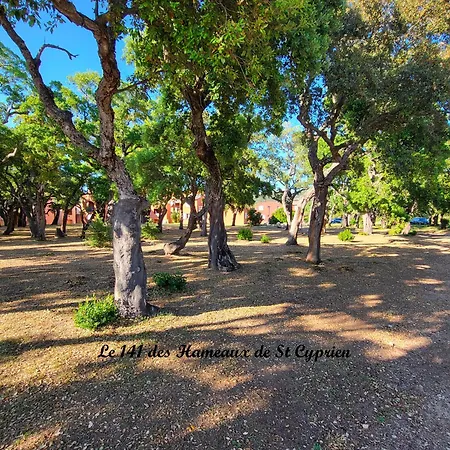 Joli T2 Climatise Au Calme A 10 Mm De Porto-vecchio Dans De Tourisme