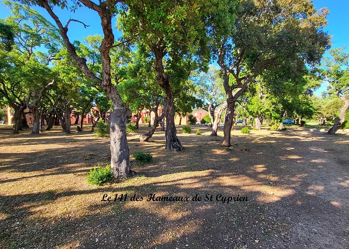 Joli T2 Climatise Au Calme A 10 Mm De Porto-vecchio Dans De Tourisme